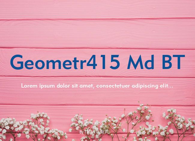 Geometr415 Md BT example